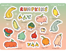 Load image into Gallery viewer, Rumpkins Sticker Sheet - cute pumpkins vinyl journalling, planner, water bottle, laptop, deco stickers, fall winter