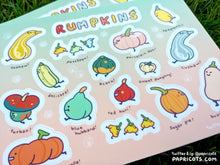 Load image into Gallery viewer, Rumpkins Sticker Sheet - cute pumpkins vinyl journalling, planner, water bottle, laptop, deco stickers, fall winter