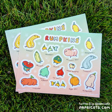 Load image into Gallery viewer, Rumpkins Sticker Sheet - cute pumpkins vinyl journalling, planner, water bottle, laptop, deco stickers, fall winter