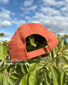 CRABBY embroidered cap