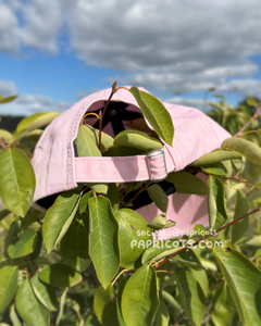 PEACHY embroidered cap